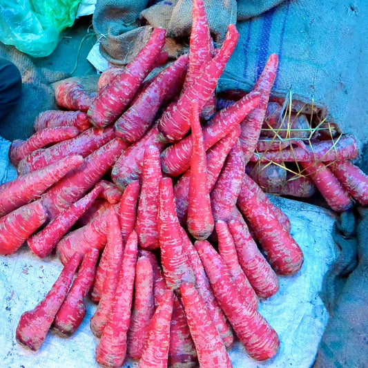 Pusa Rudhira Red Carrot Seeds
