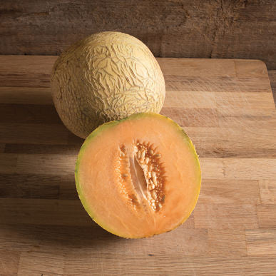 Divergent Melon Seeds (Cucumis melo)