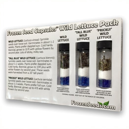 Wild Lettuce Seed Collection - 3 Pack Variety of Seeds for your Garden