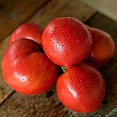 Anna Russian Tomato Seeds
