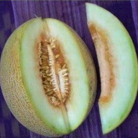 Ananas Melon Seeds [PACKET ONLY]