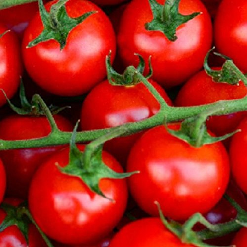 Large Cherry Tomato Seeds