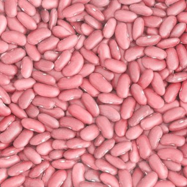 Rajama Indian Pink Bean (Phaseolus vulgaris)  Seeds [PACKET ONLY]