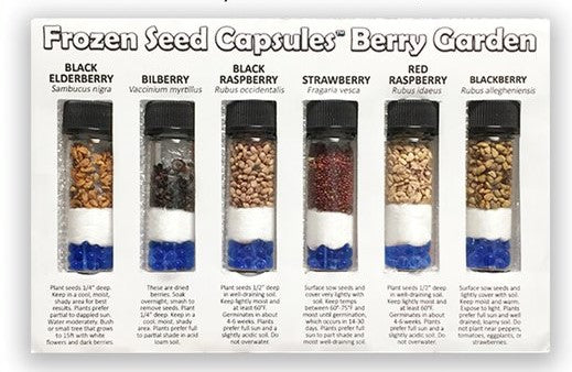 Berry Garden Seed Collection #2 - 6 Pack Variety of Seeds for your Garden