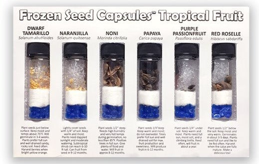 Frozen Seed Capsules 12 Rare Tropical Variety Pack