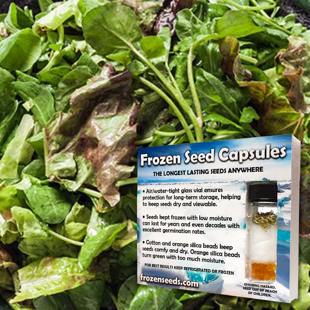 Mixed Cooking Greens Seeds
