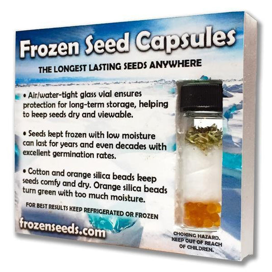 Plains Coreopsis Wildflower  Seeds (Coreopsis tinctoria)