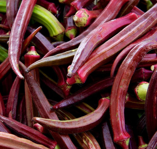 Red Burgundy Okra Seeds