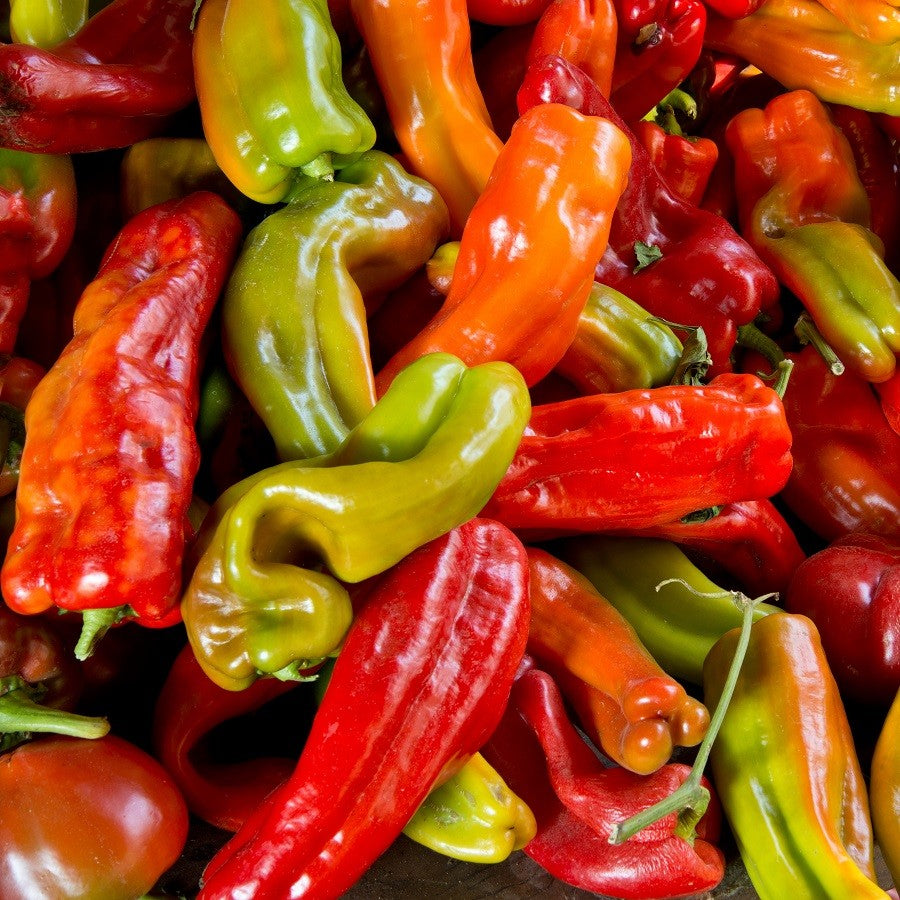 Anaheim Hot Chili Pepper Seeds