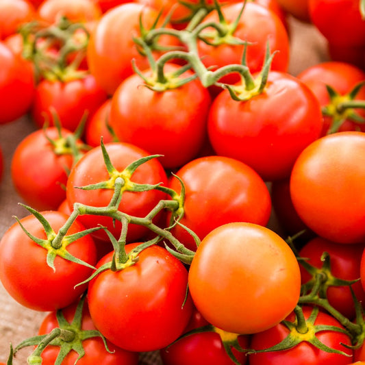 Sweetie Tomato Seeds