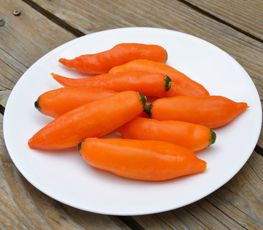 Aji Amarillo Chili Seeds