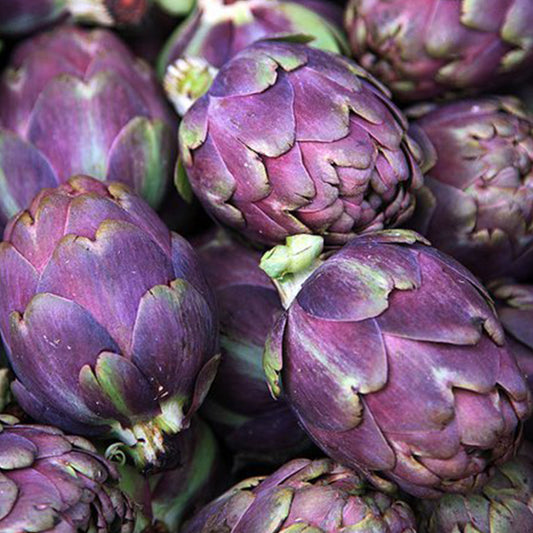 Violet De Provence Artichoke Seeds