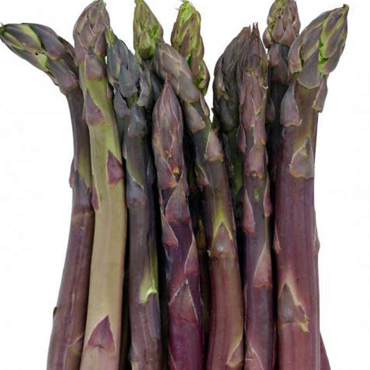 Precoce D'Argenteuil Asparagus Seeds