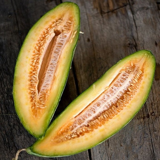 Banana Melon  Seeds [PACKET ONLY]
