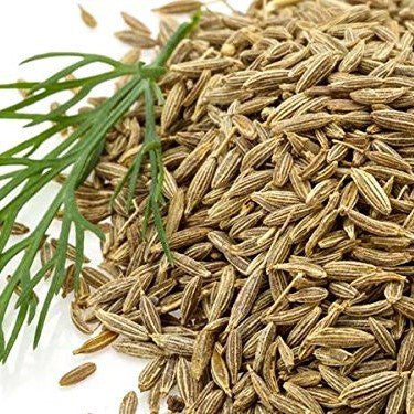 Cumin Seeds (Cuminum cyminum)