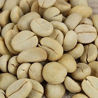 Dwarf Coffee Plant Seeds (Coffea arabica nana)