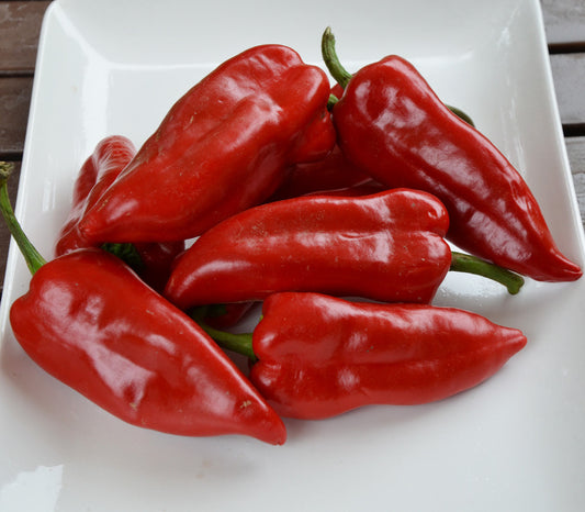 Piquillo Pepper Seeds
